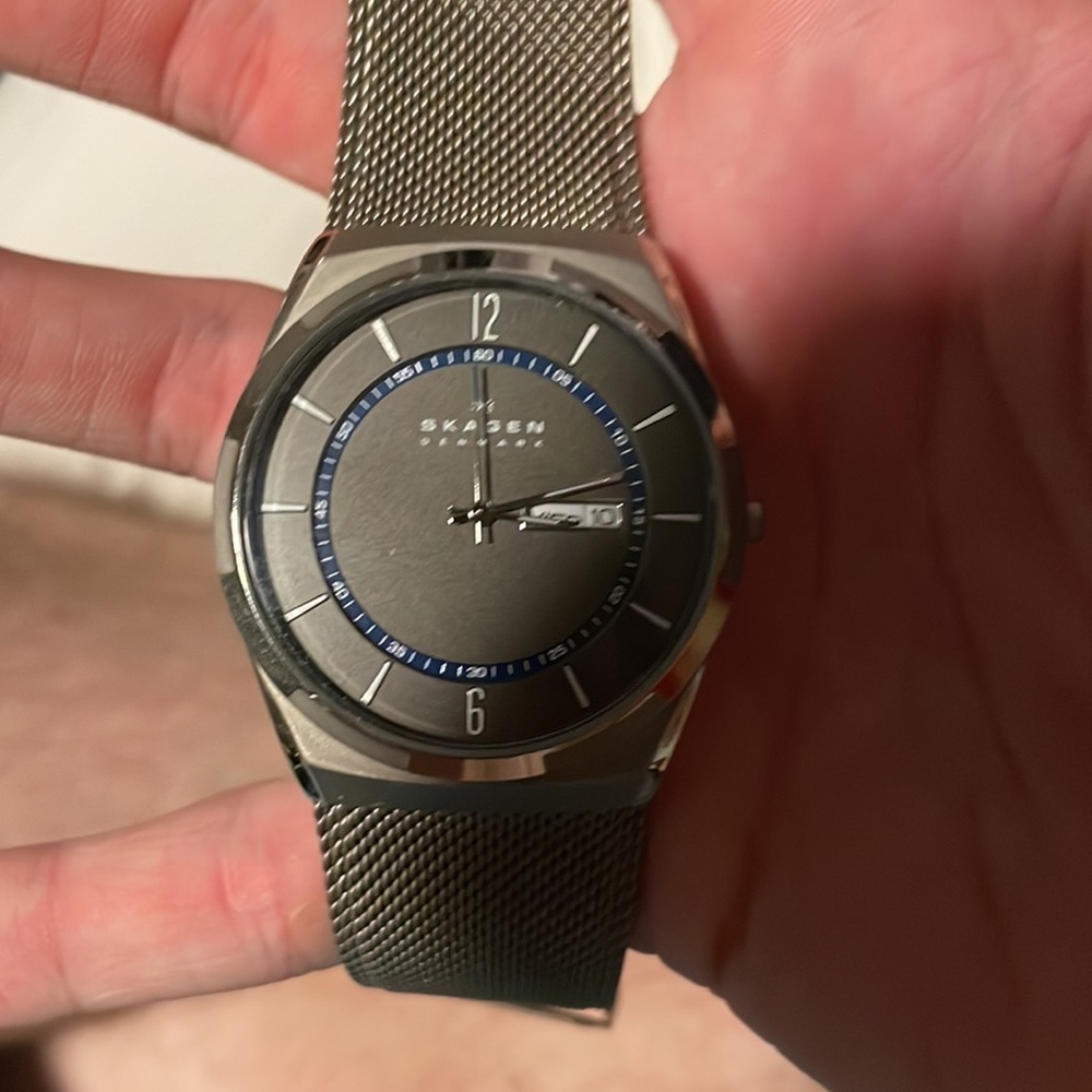 Skagen Watch